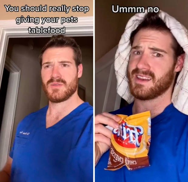 Veterinarian Shares Pet Care Tips (29 pics)
