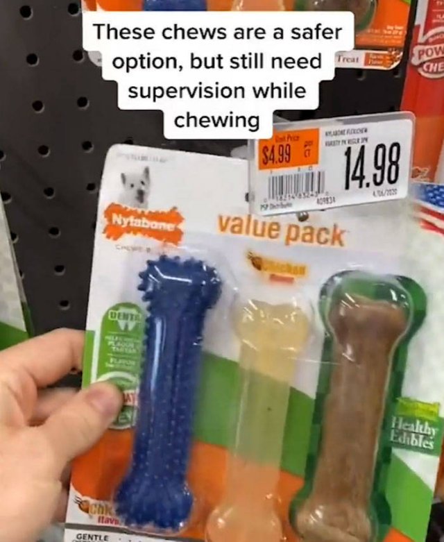 Veterinarian Shares Pet Care Tips (29 pics)