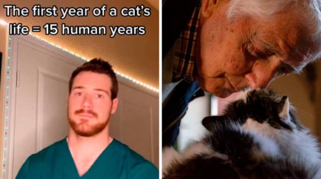 Veterinarian Shares Pet Care Tips (29 pics)