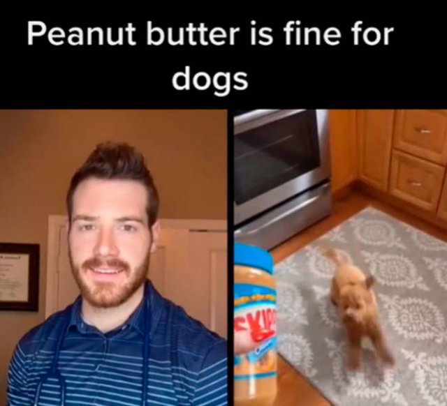 Veterinarian Shares Pet Care Tips (29 pics)