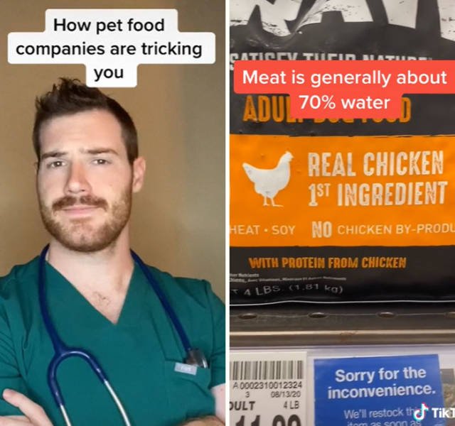 Veterinarian Shares Pet Care Tips (29 pics)