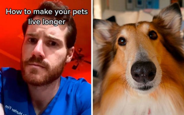 Veterinarian Shares Pet Care Tips (29 pics)