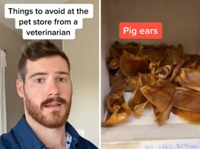 Veterinarian Shares Pet Care Tips (29 pics)