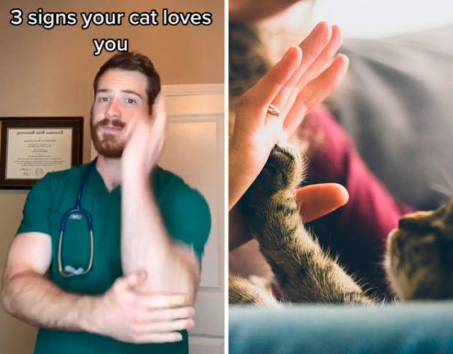 Veterinarian Shares Pet Care Tips (29 pics)