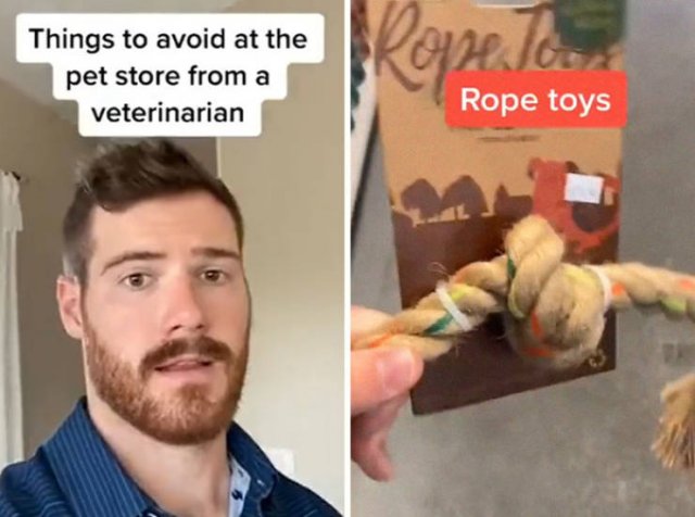 Veterinarian Shares Pet Care Tips (29 pics)