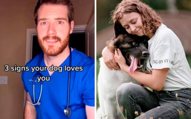 Veterinarian Shares Pet Care Tips (29 pics)