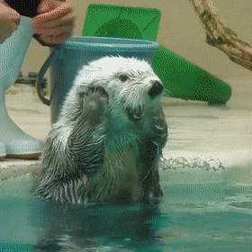 Acid Gifdump, June 23 (25 gifs)