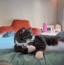 Acid Gifdump, June 23 (25 gifs)