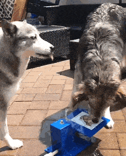 Acid Gifdump, June 23 (25 gifs)