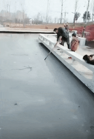 Acid Gifdump, June 23 (25 gifs)