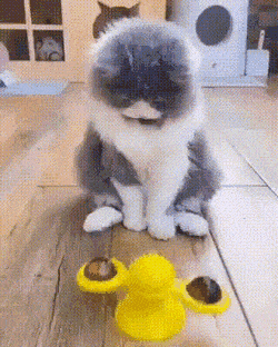 Acid Gifdump, June 23 (25 gifs)