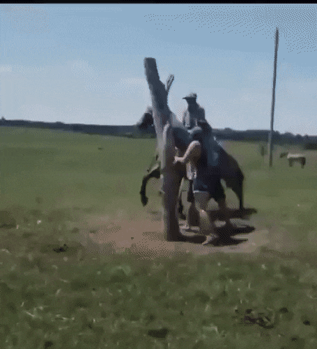 Acid Gifdump, June 23 (25 gifs)