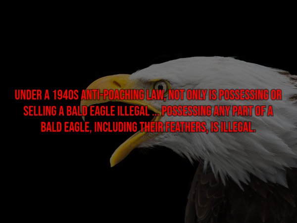 Things That Are Illegal In Different Countries (26 pics)
