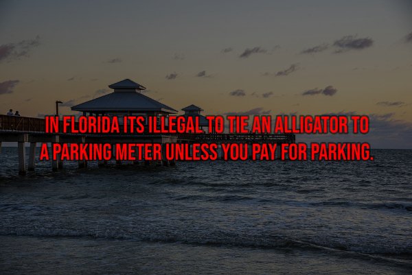 Things That Are Illegal In Different Countries (26 pics)