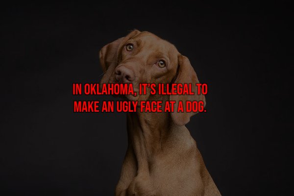 Things That Are Illegal In Different Countries (26 pics)