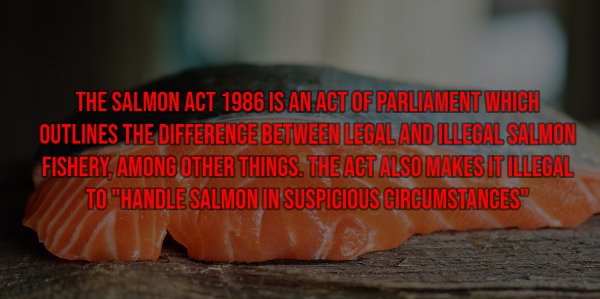 Things That Are Illegal In Different Countries (26 pics)