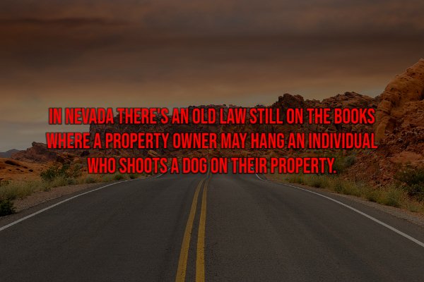 Things That Are Illegal In Different Countries (26 pics)