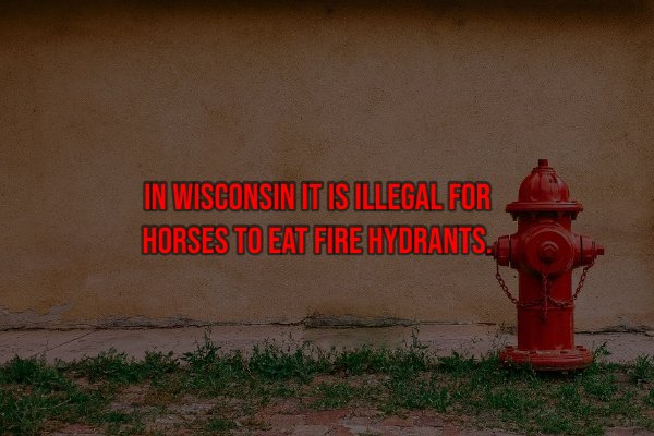 Things That Are Illegal In Different Countries (26 pics)