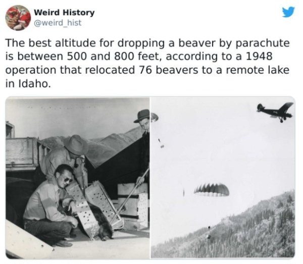 History Facts (30 pics)