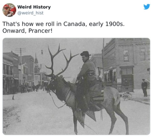 History Facts (30 pics)