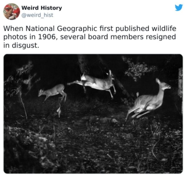 History Facts (30 pics)