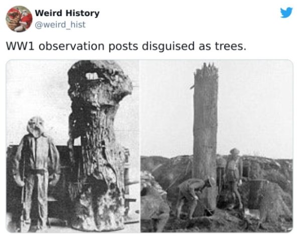 History Facts (30 pics)