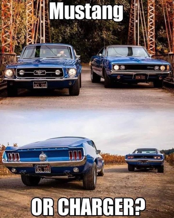 Beautiful Cars (50 pics)