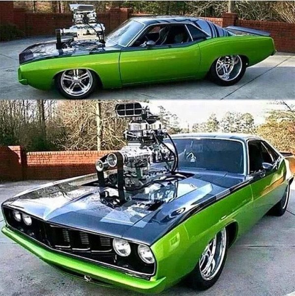 Beautiful Cars (50 pics)