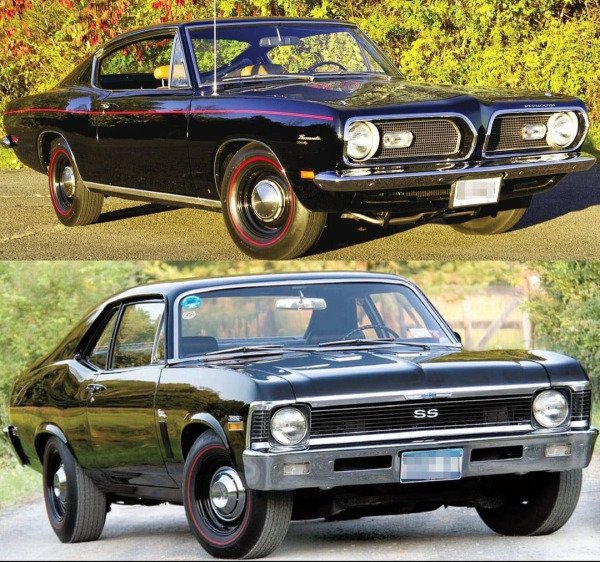 Beautiful Cars (50 pics)
