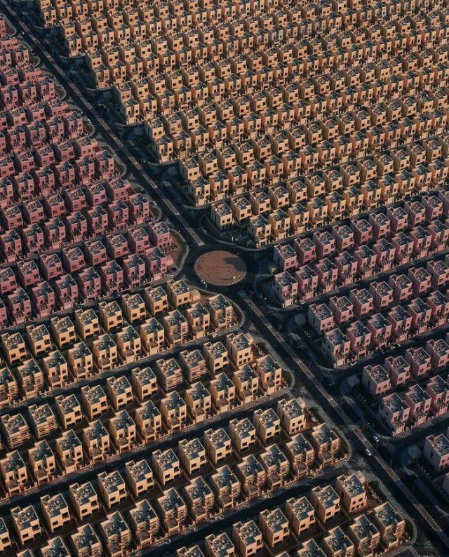 This Is Our Reality (38 pics) This Is Our Reality (38 pics)