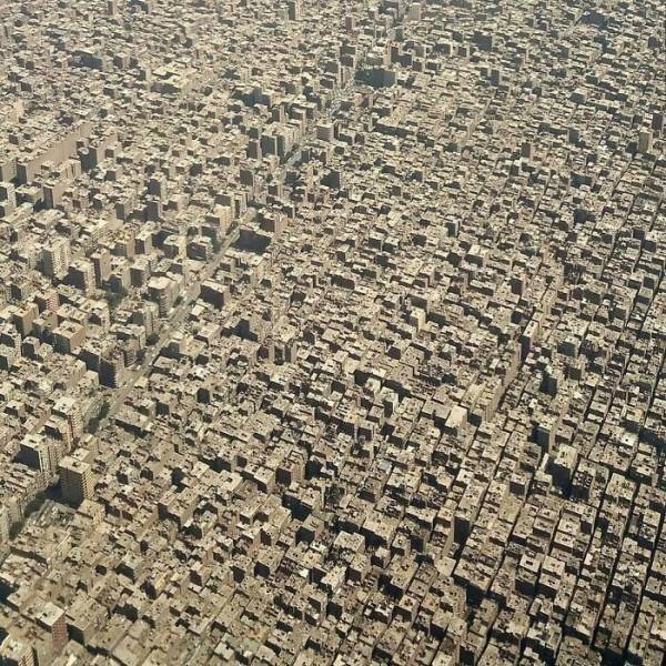 This Is Our Reality (38 pics) This Is Our Reality (38 pics)