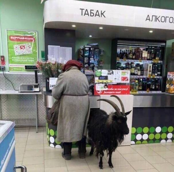 Acid Picdump 1 (82 pics)