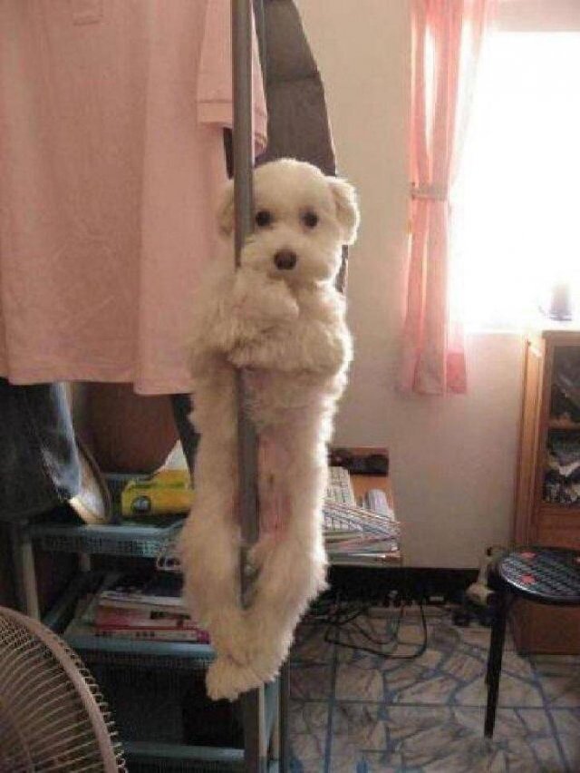 Acid Picdump 1 (82 pics)