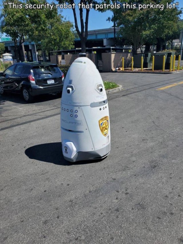 Acid Picdump 1 (82 pics)