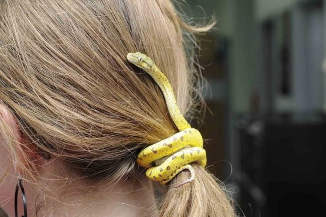 Acid Picdump 1 (82 pics)