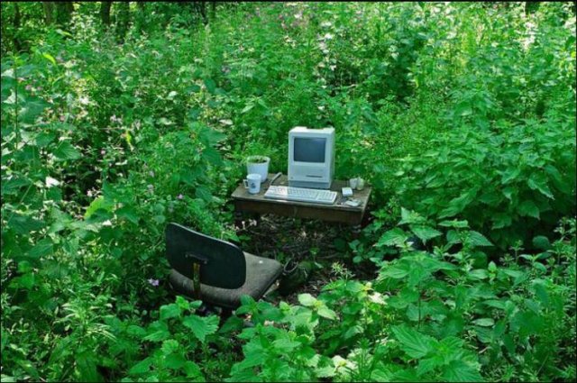 Acid Picdump 1 (82 pics)