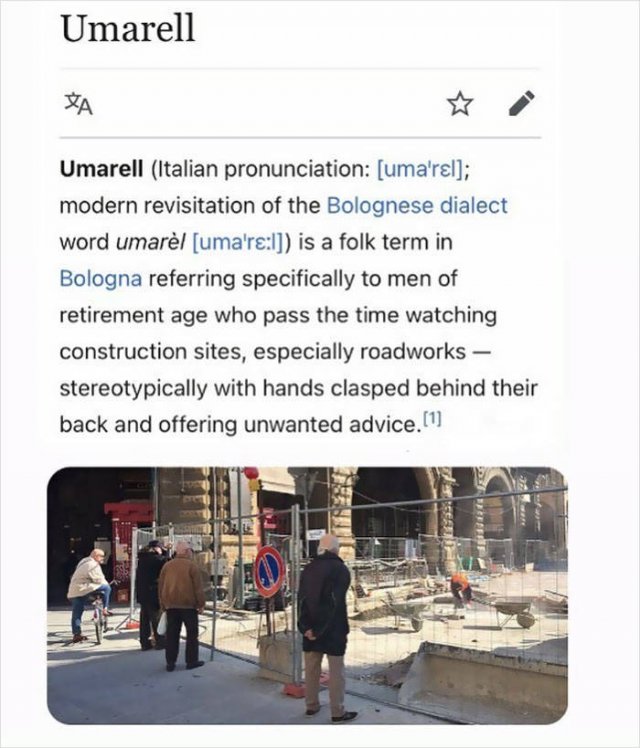 Weird 'Wikipedia' Articles (27 pics)
