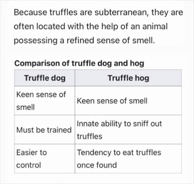 Weird 'Wikipedia' Articles (27 pics)
