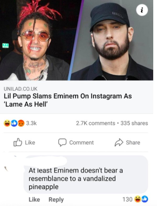 Roasting Comments (34 pics)