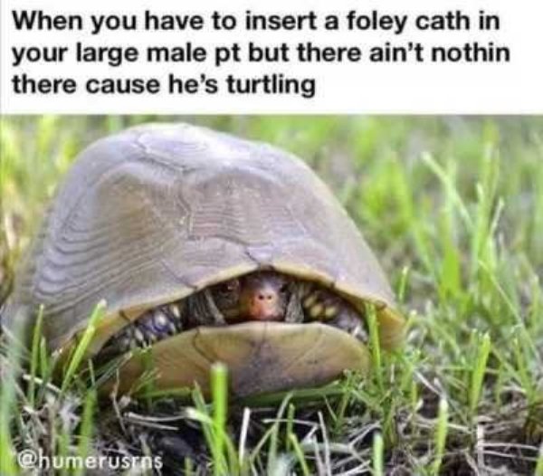 Nursing Memes (28 pics)