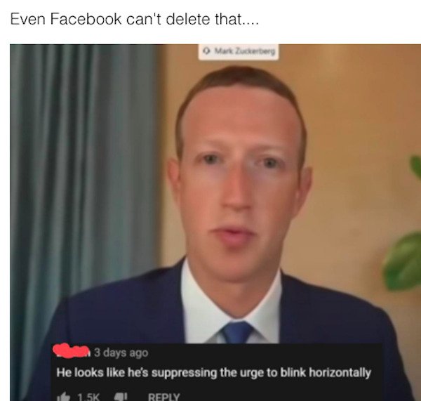 Roasting Comments (34 pics)