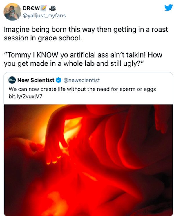 Roasting Comments (34 pics)
