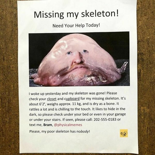 Man Trolls Neighbors With Posters (24 pics)