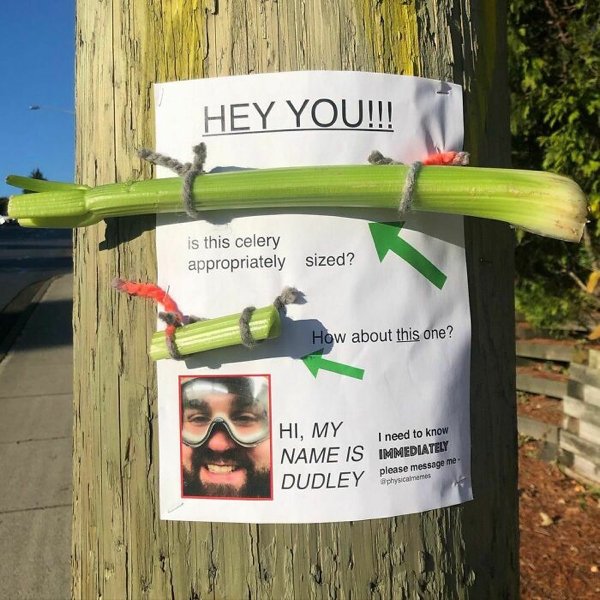Man Trolls Neighbors With Posters (24 pics)