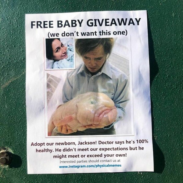 Man Trolls Neighbors With Posters (24 pics)