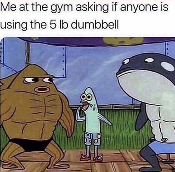 Hilarious Memes (29 pics)