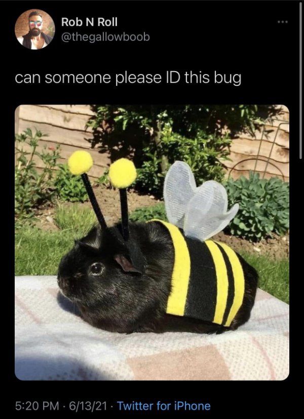 Hilarious Memes (29 pics)