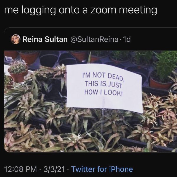 Hilarious Memes (29 pics)