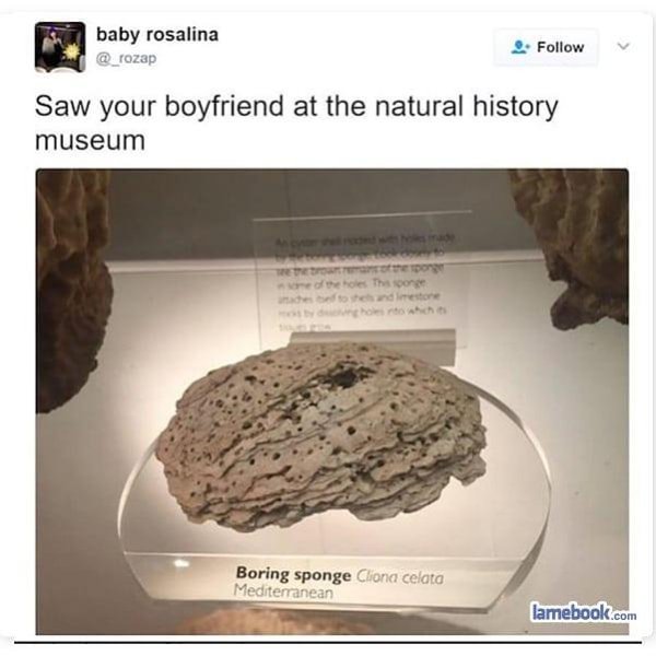 Hilarious Memes (29 pics)