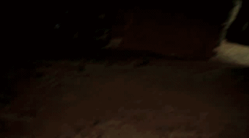 Scary Facts (15 gifs) Scary Facts (15 gifs)